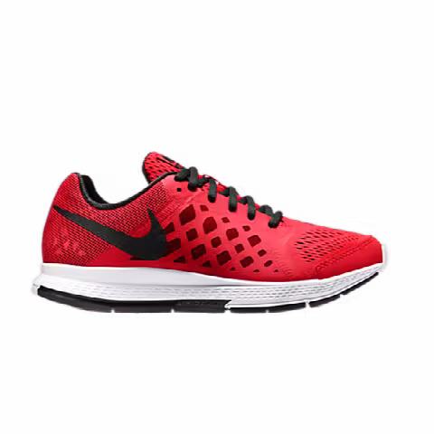 Nike Air Zoom Pegasus 31 GS