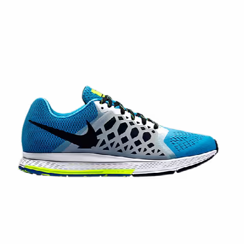 Nike Air Zoom Pegasus 31