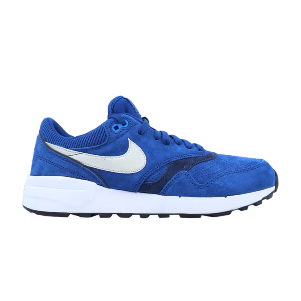 Nike Air Odyssey Leather Gym Blue