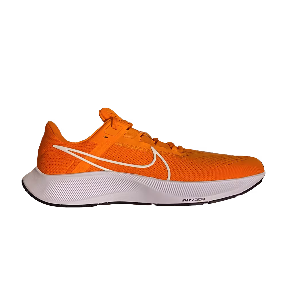 Nike Air Zoom Pegasus 38 TB Bright Ceramic