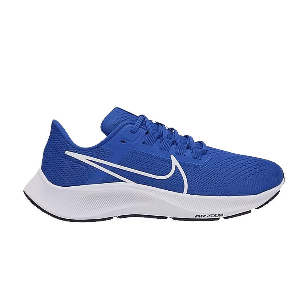 Nike Women's Air Zoom Pegasus 38 TB Game Royal