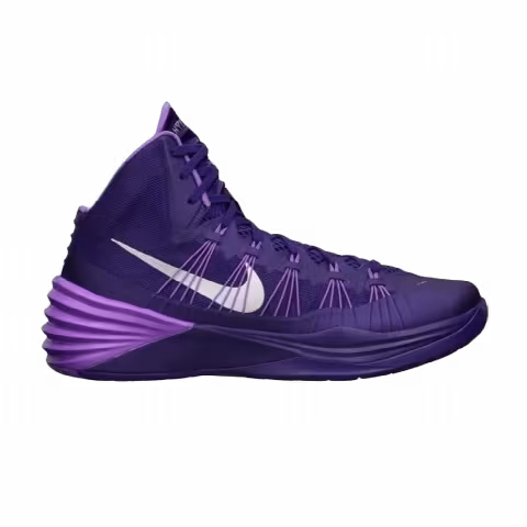 Nike Zoom Hyperdunk 2013 TB 'Dark Purple'