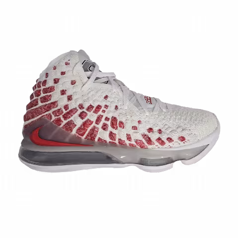 Nike LeBron 17 'Ohio State Home' PE