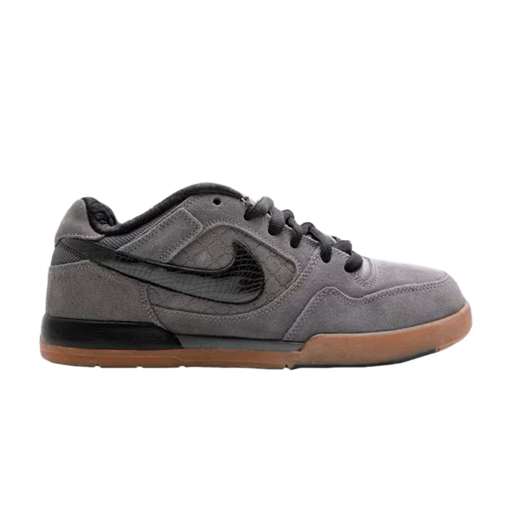 Nike Paul Rodriguez 2 Zoom Air