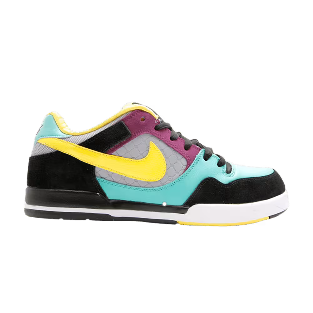 Nike Paul Rodriguez 2 Zoom Air