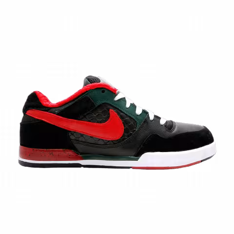 Nike Paul Rodriguez 2 Zoom Air