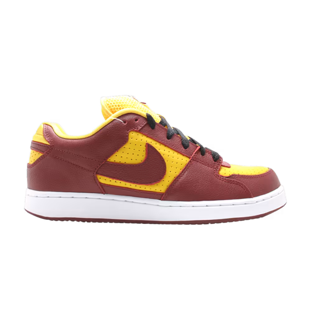 Nike Zoom Team Edition
