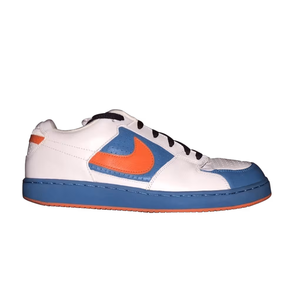 Nike Team Edition Sb