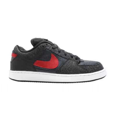 Nike Zoom Team Edition