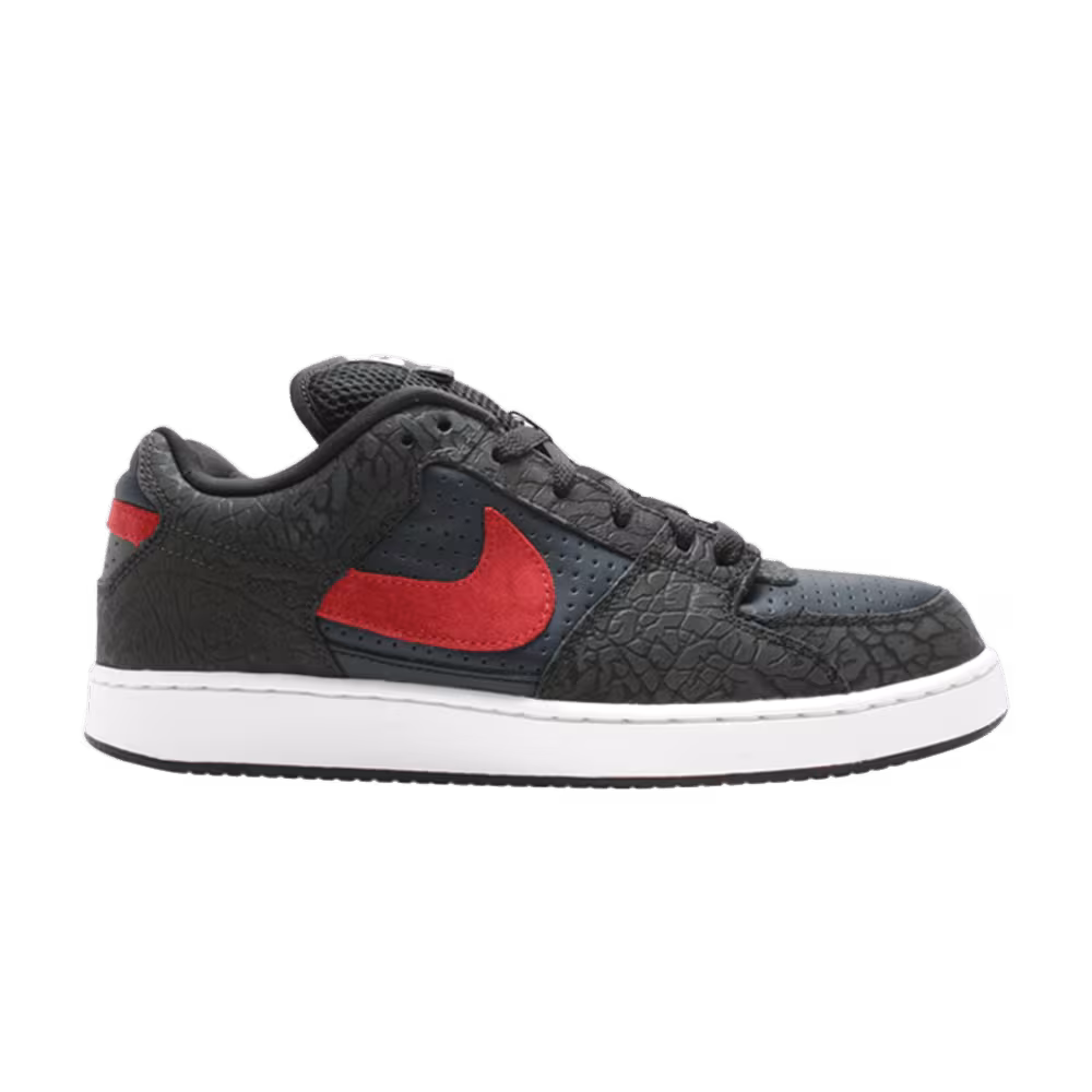 Nike Zoom Team Edition