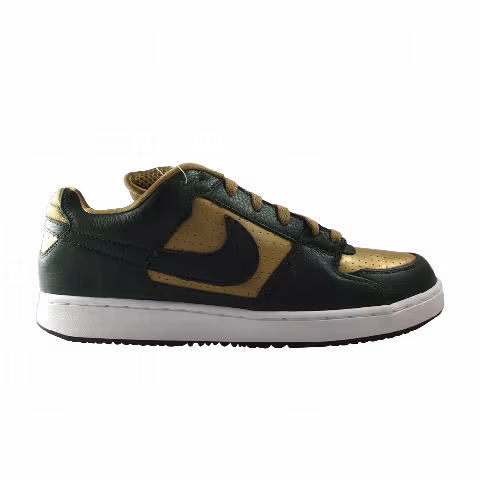 Nike Zoom Team Edition