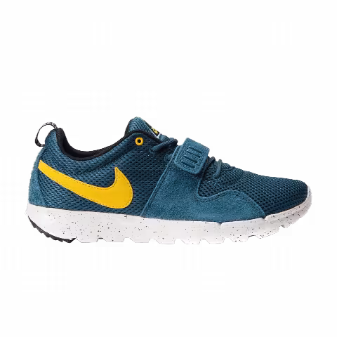 Nike Trainerendor
