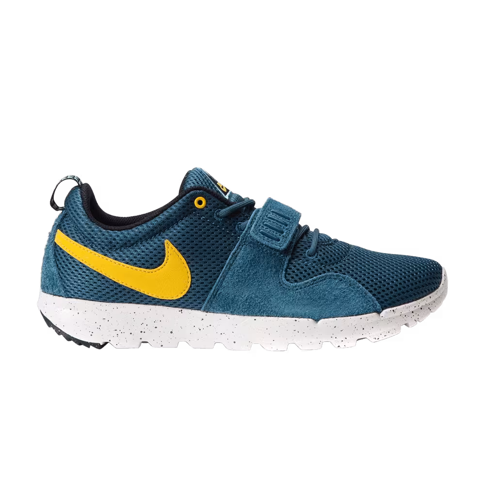 Nike Trainerendor