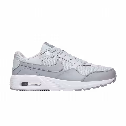 Nike Air Max SC 'Pure Platinum Wolf Grey'