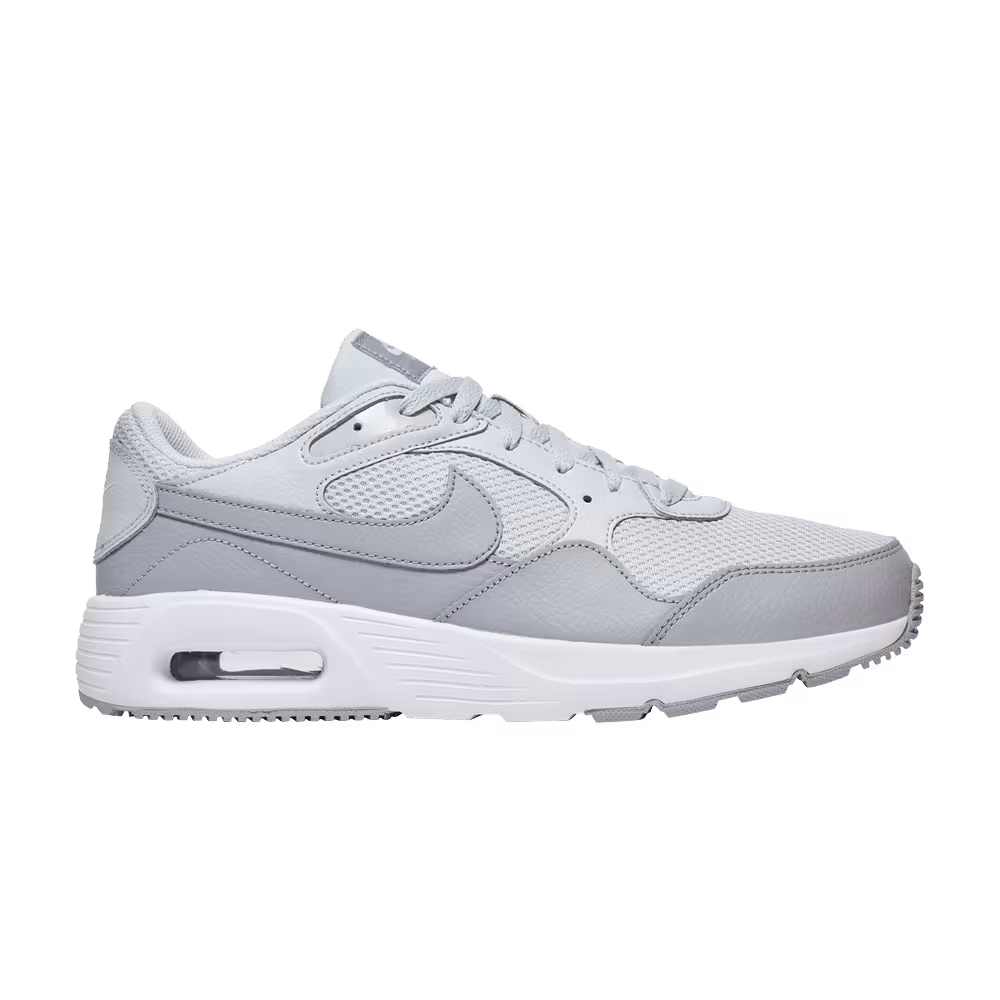 Nike Air Max SC Pure Platinum Wolf Grey
