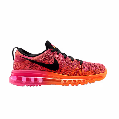 Nike Wmns Flyknit Air Max