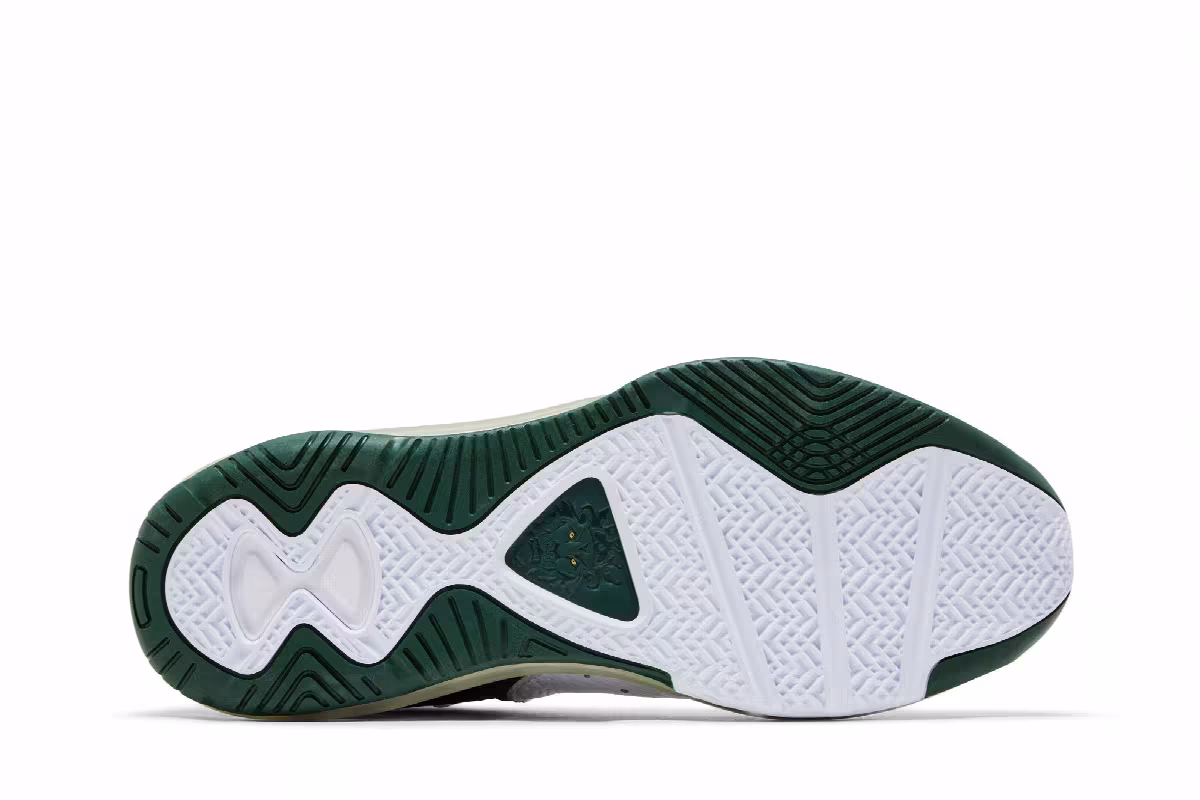 Nike Lebron 8 PE SVSM Home, view 5