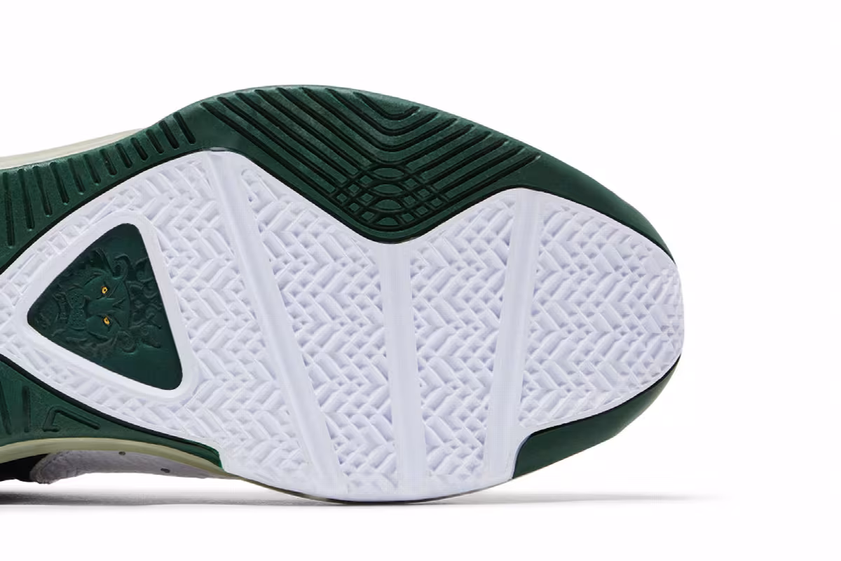 Nike Lebron 8 PE SVSM Home, view 6