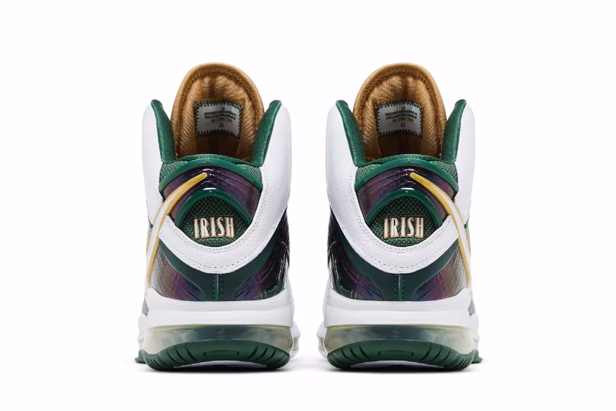 Nike Lebron 8 PE SVSM Home, view 7