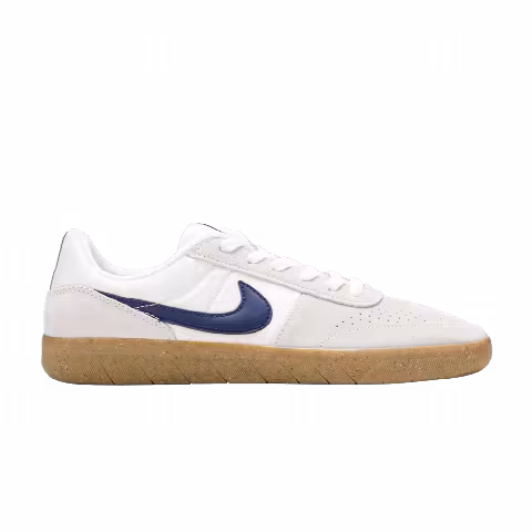Nike Team Classic SB 'Summit White'