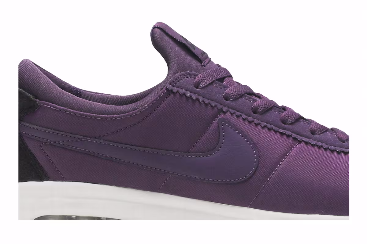 Nike Air Max Bruin Vapor TXT SB Pro Purple, view 3