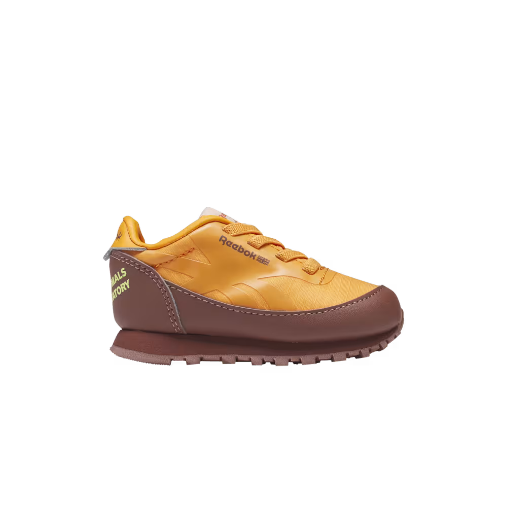 The Animals Observatory x Reebok Classic Leather I Bright Orange