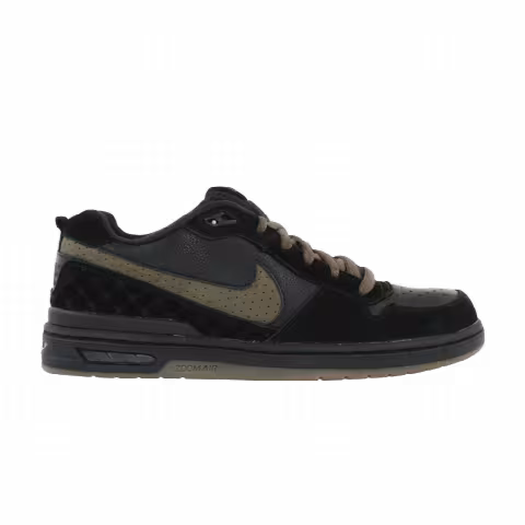 Nike Paul Rodriguez Zoom Air Low