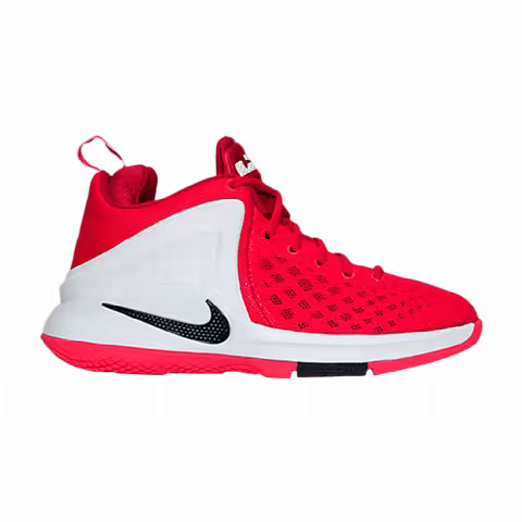 Nike LeBron Zoom Witness GS