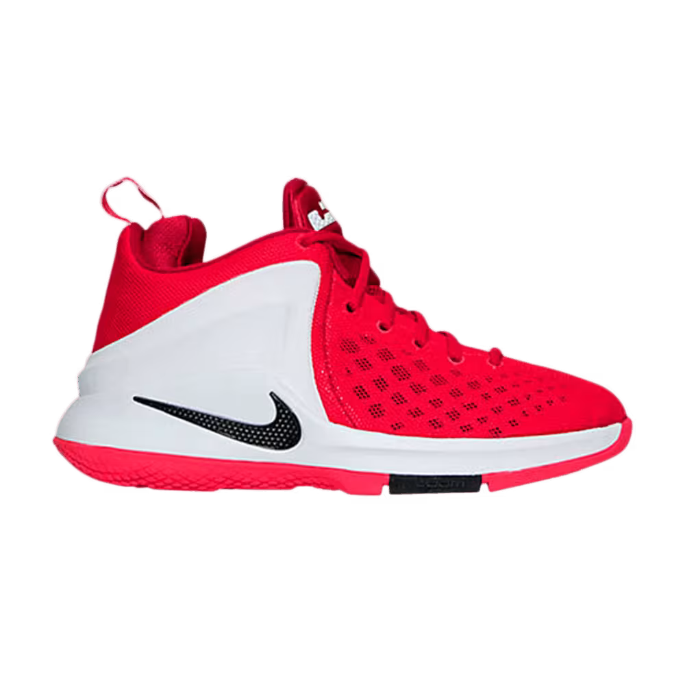 Nike LeBron Zoom Witness GS
