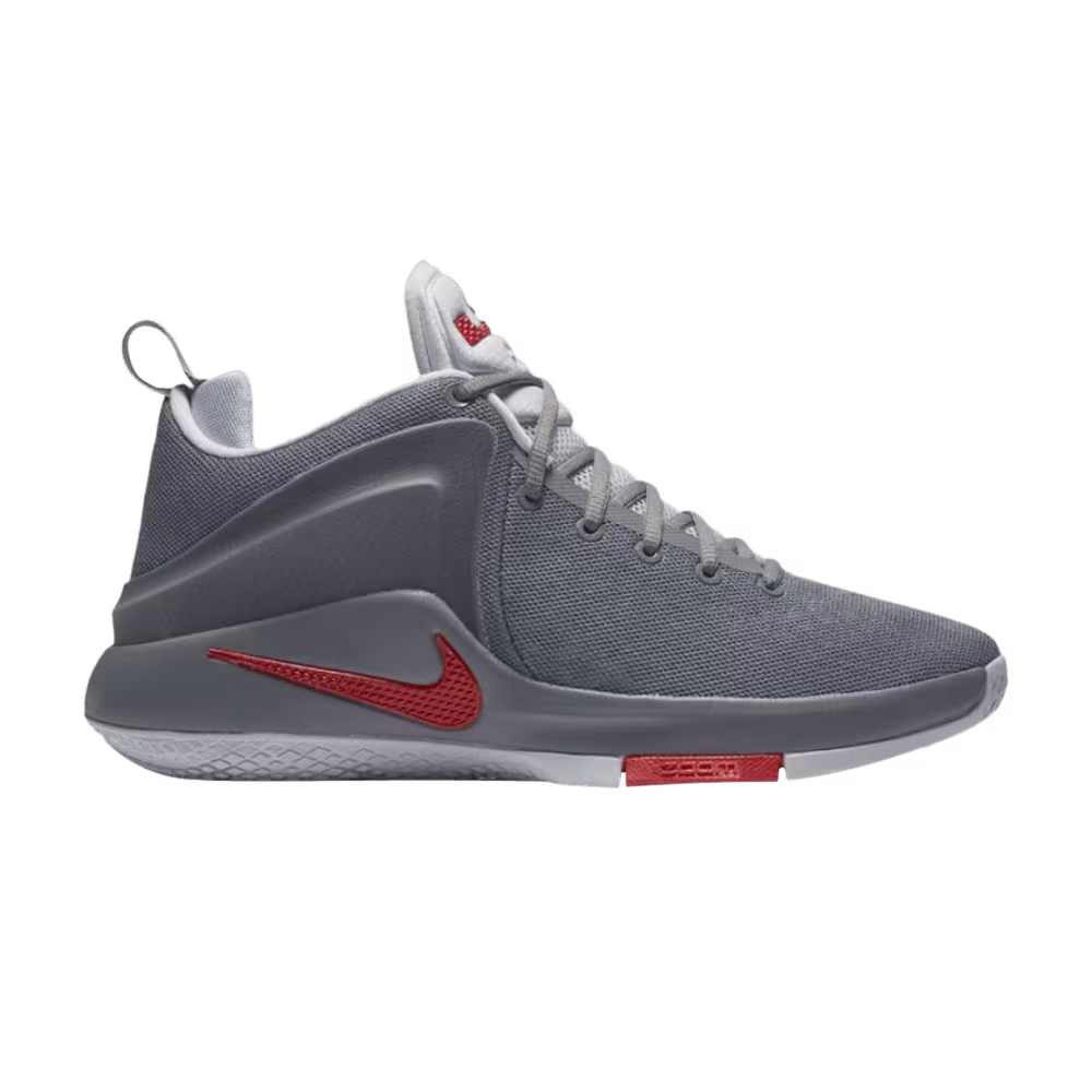 Nike LeBron Zoom Witness Cool Grey