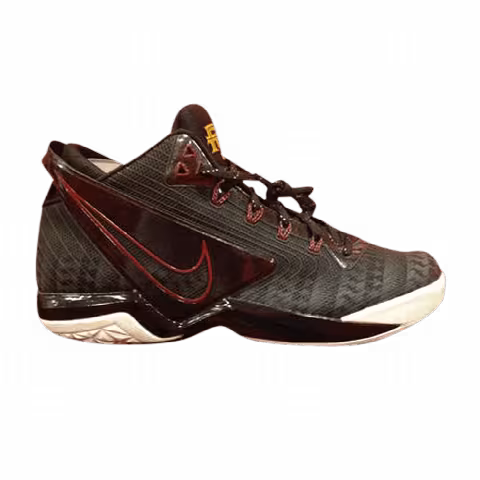 Nike Zoom Field General 'Florida State University'