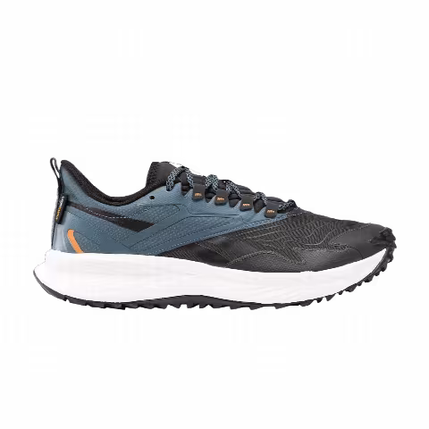 Reebok Floatride Energy 5 Adventure 'Pure Grey'