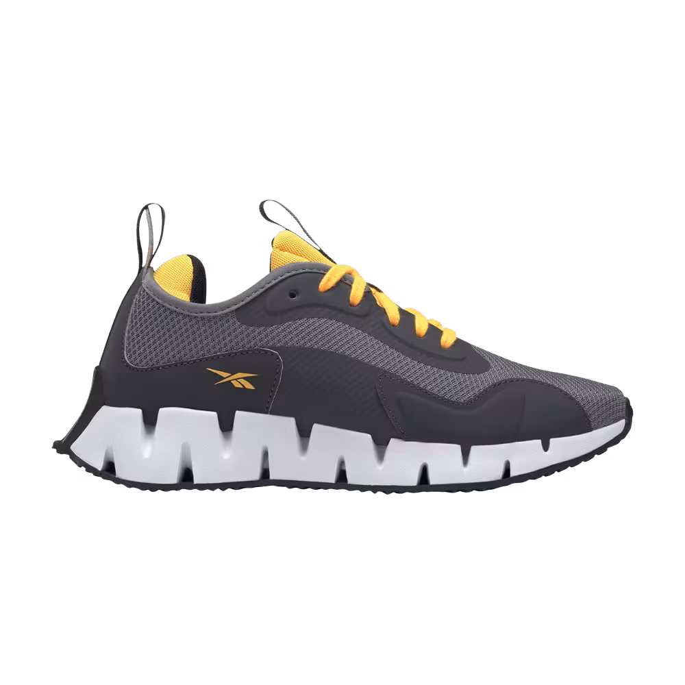 Reebok Zig Dynamica J Cold Grey