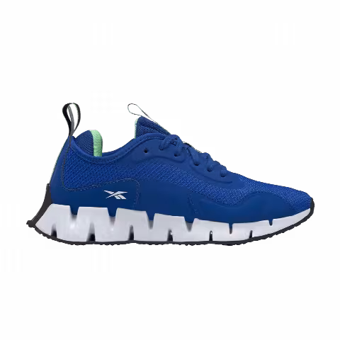 Reebok Zig Dynamica J 'Collegiate Royal'