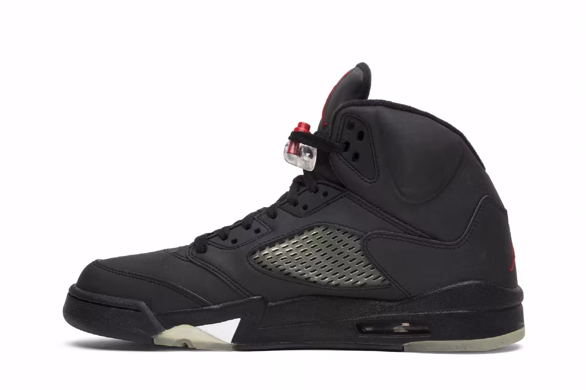 Air Jordan 5 DMP Raging Bull Pack, view 5