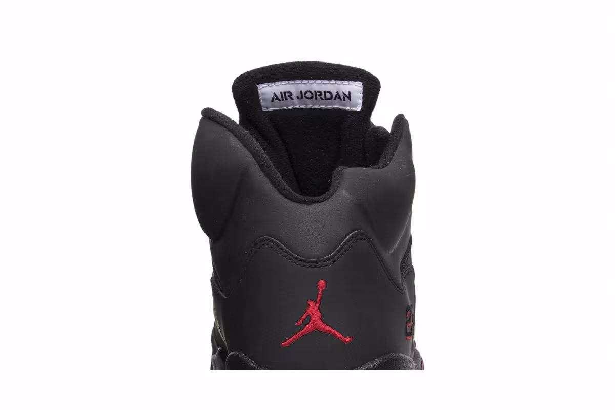 Air Jordan 5 DMP Raging Bull Pack, view 8