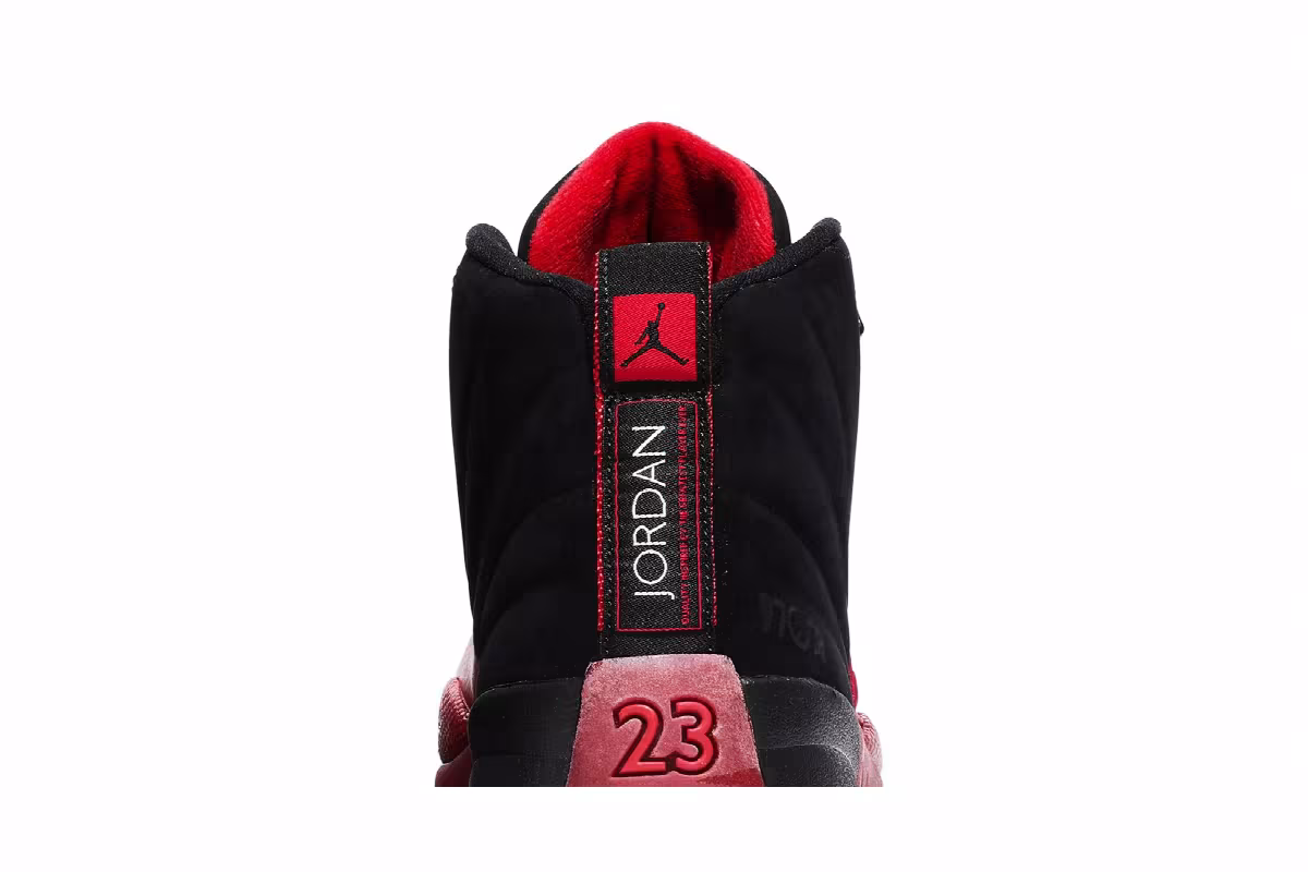 Air Jordan 12 Flu Game 2009, view 8