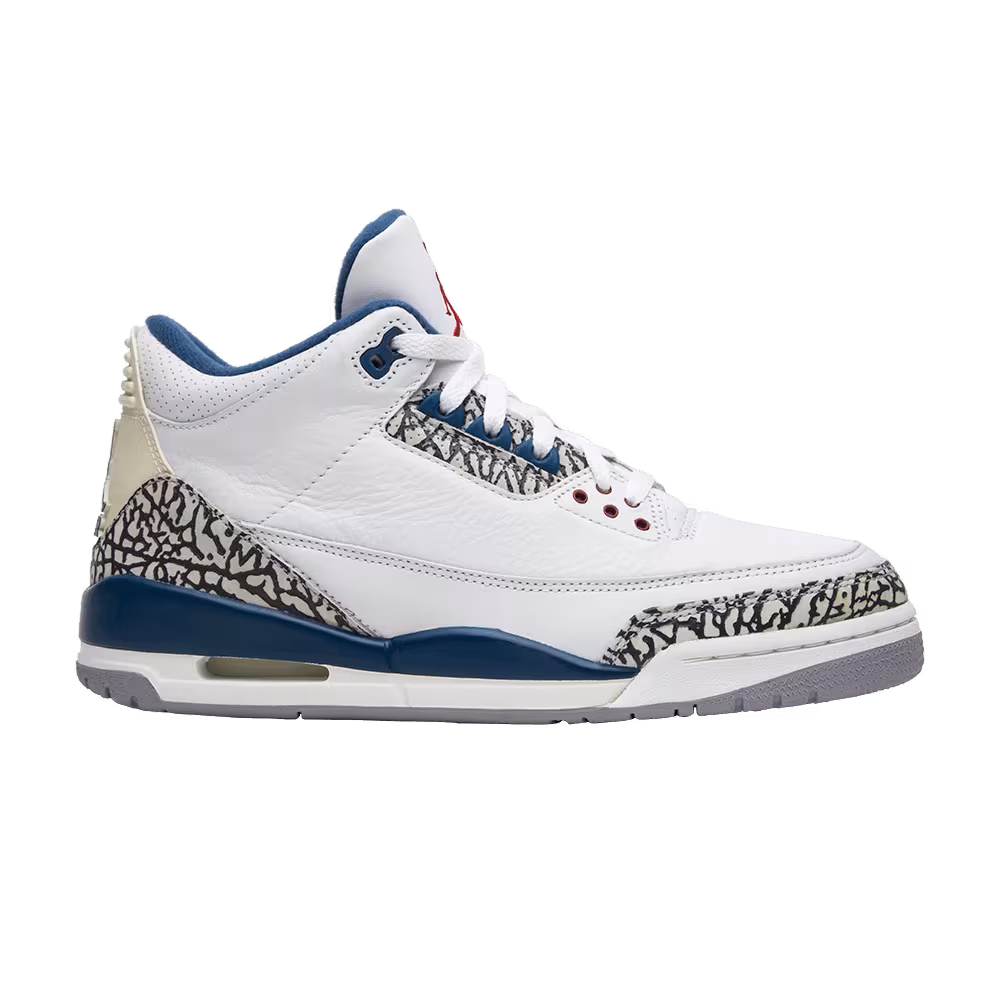 Air Jordan 3 True Blue 2009