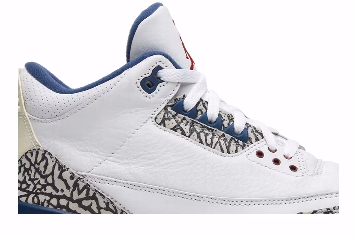 Air Jordan 3 True Blue 2009, view 3
