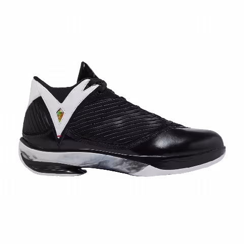 Air Jordan 2009 'Black White'