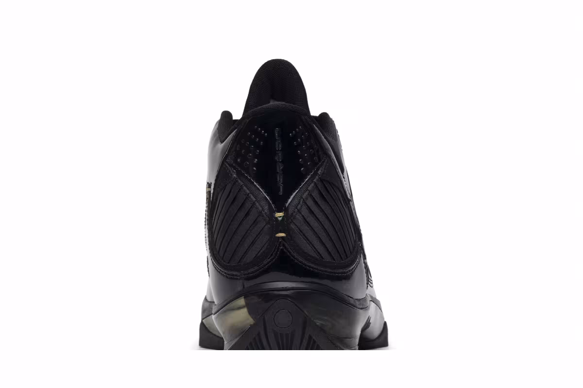 Air Jordan 2009 S23, view 8
