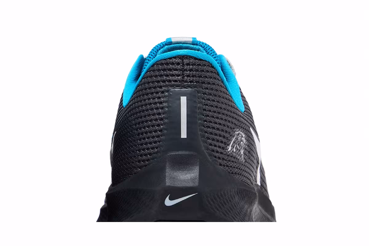 NFL x Nike Air Zoom Pegasus 40 Carolina Panthers, view 8