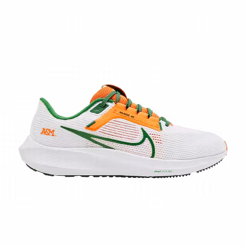 Nike Air Zoom Pegasus 40 'Florida A&M University'