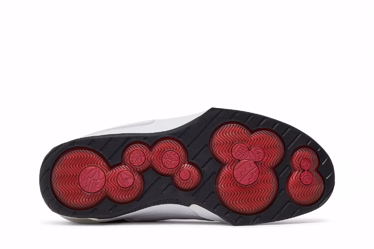 Air Jordan 20 OG Midwest, view 5