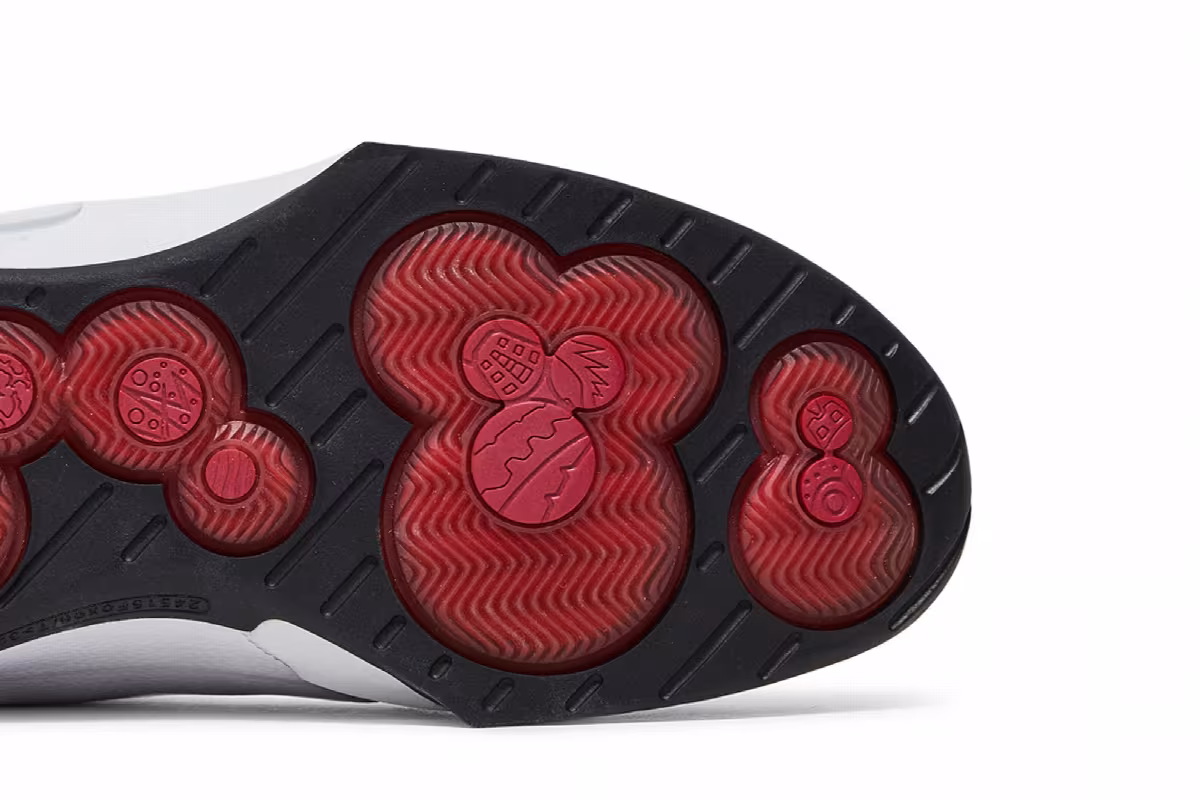 Air Jordan 20 OG Midwest, view 6