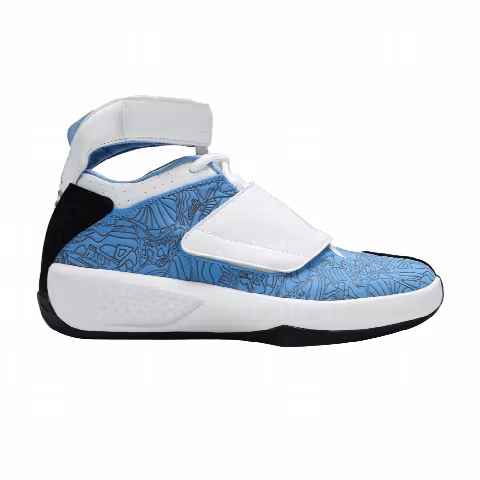 Air Jordan 20 OG GS 'West Coast'