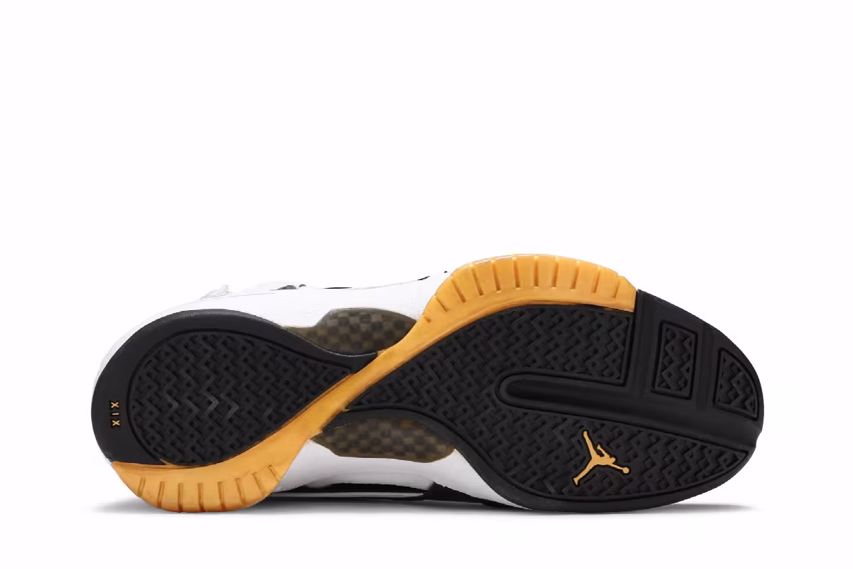 Air Jordan 19 OG West Coast, view 5