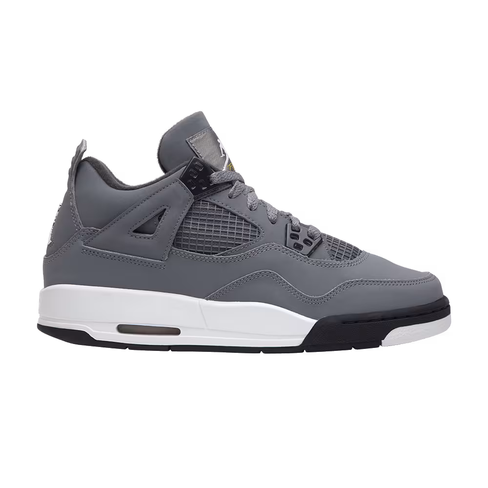 Air Jordan 4 GS Cool Grey 2004
