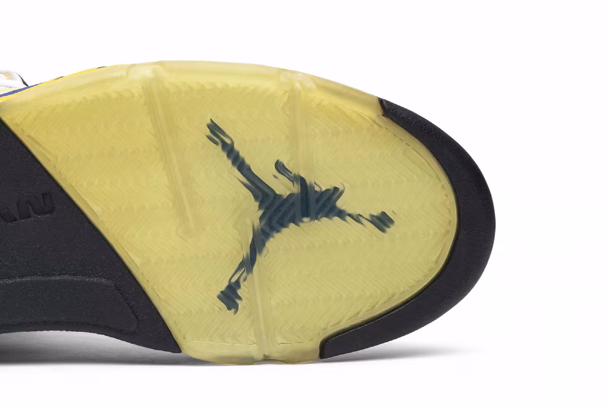 Air Jordan 5+ Laney 2000, view 6