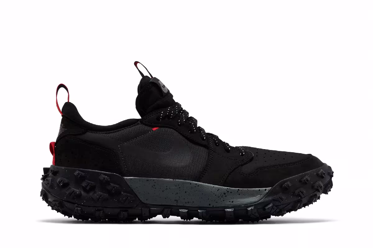 Air Jordan 1 Low Element GORE-TEX Bred, view 2
